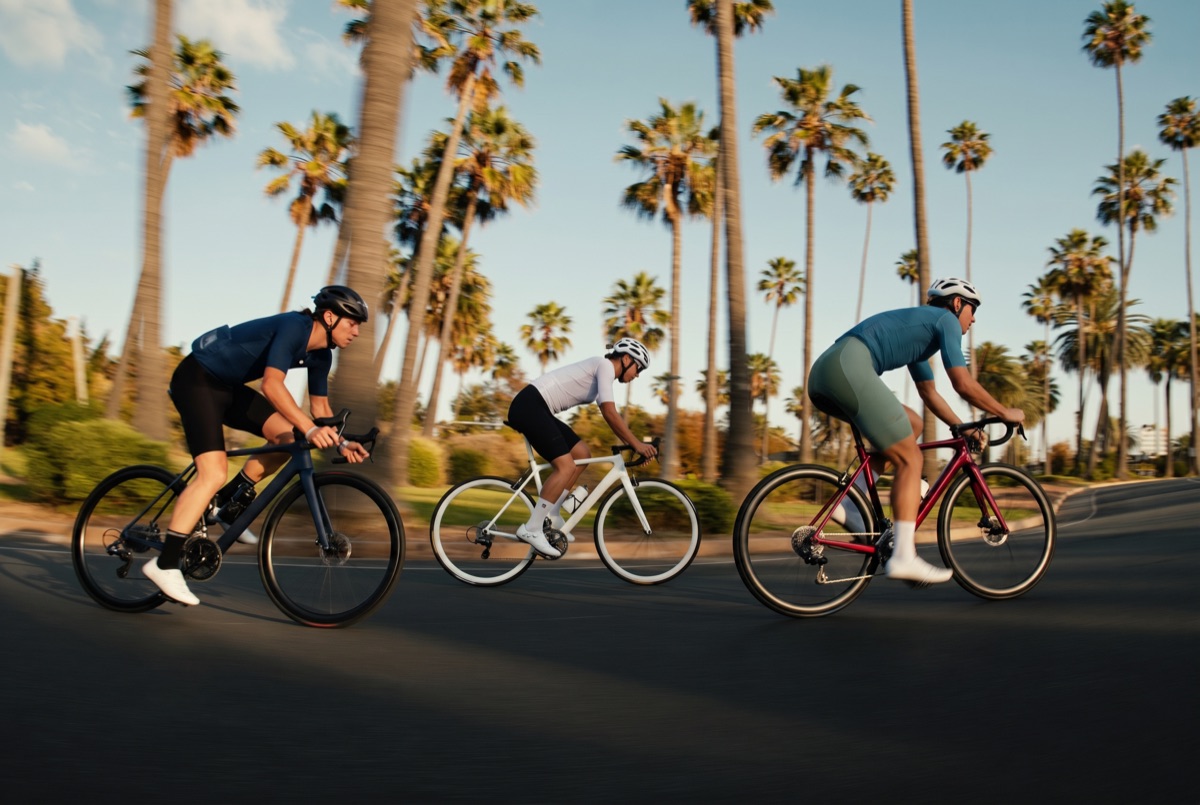 Riders under the palms of Crandon Park
