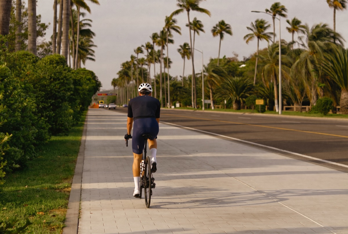 Rider on the palm-lined South Dade Trail